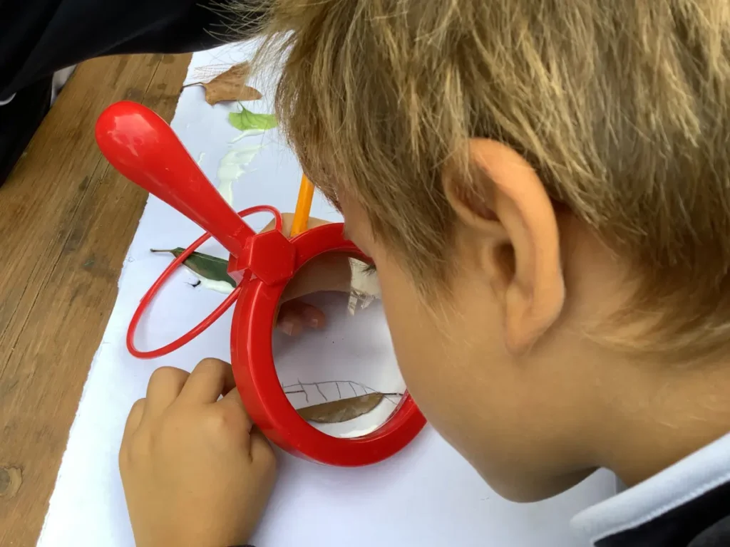 Kindergarten: il nostro giardino dei talenti - 1